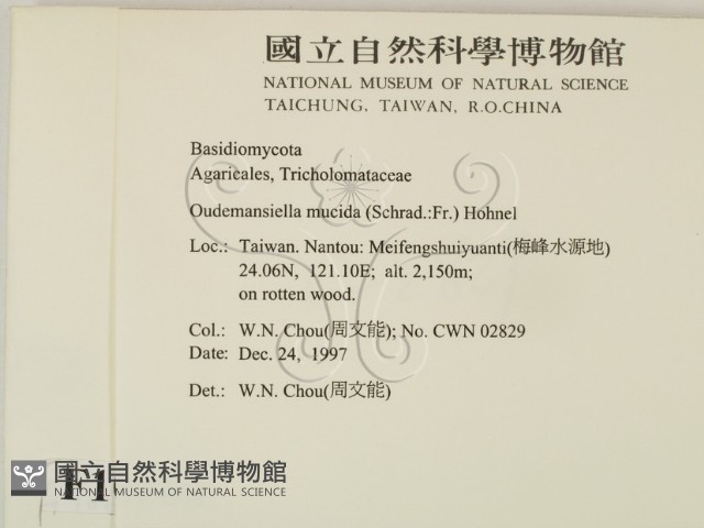 登錄號:F0010668藏品圖，第2張
