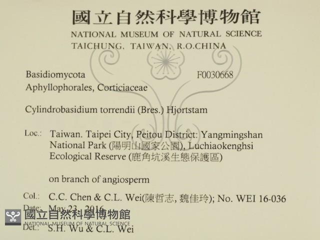 登錄號:F0030668藏品圖，第2張