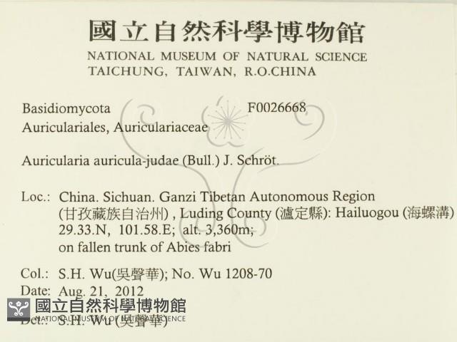 登錄號:F0026668藏品圖，第2張