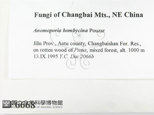 登錄號:F0006668藏品圖，第2張