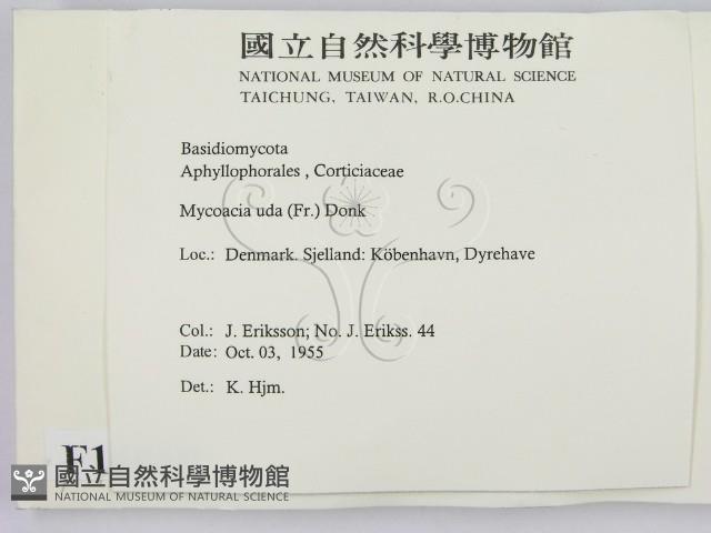 登錄號:F0016668藏品圖，第2張