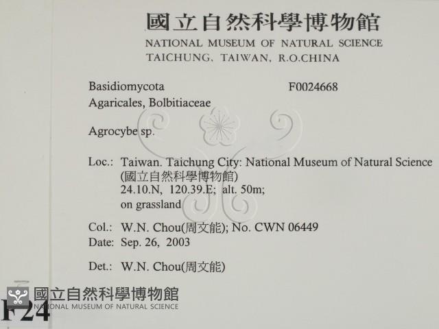 登錄號:F0024668藏品圖，第2張