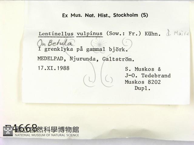 登錄號:F0004668藏品圖，第2張