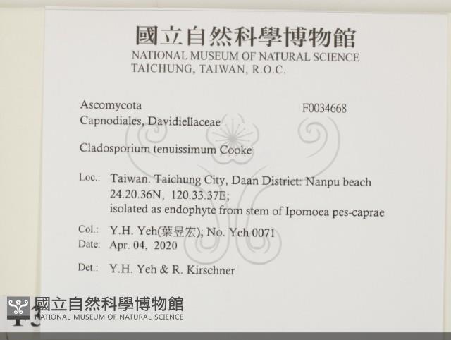 登錄號:F0034668藏品圖，第2張