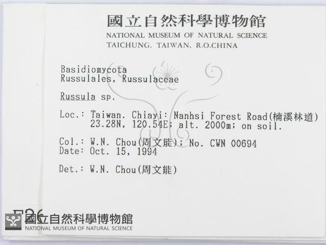 紅菇屬藏品圖，第2張