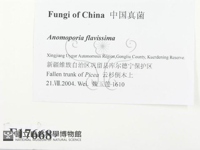 登錄號:F0017668藏品圖，第2張