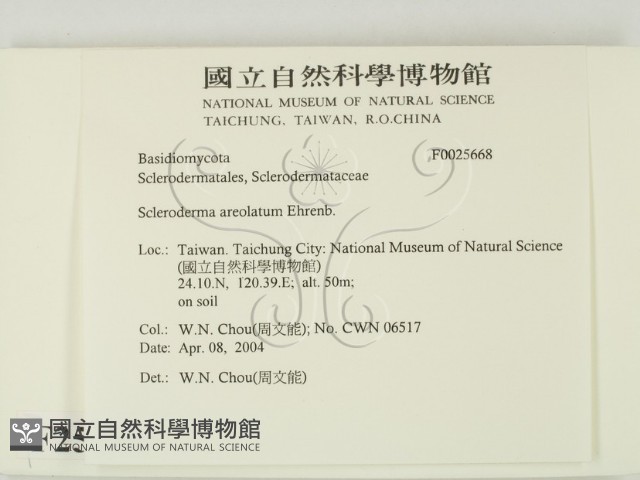 登錄號:F0025668藏品圖，第2張