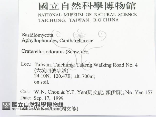 登錄號:F0015668藏品圖，第2張