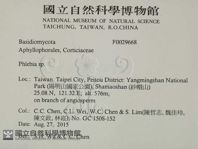 射脈菌屬藏品圖，第2張