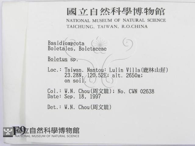 登錄號:F0009668藏品圖，第2張