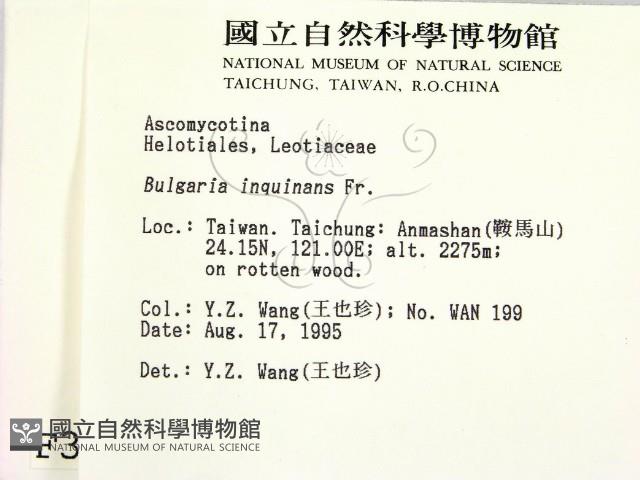 登錄號:F0003668藏品圖，第2張