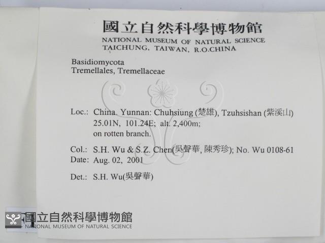 登錄號:F0013668藏品圖，第2張