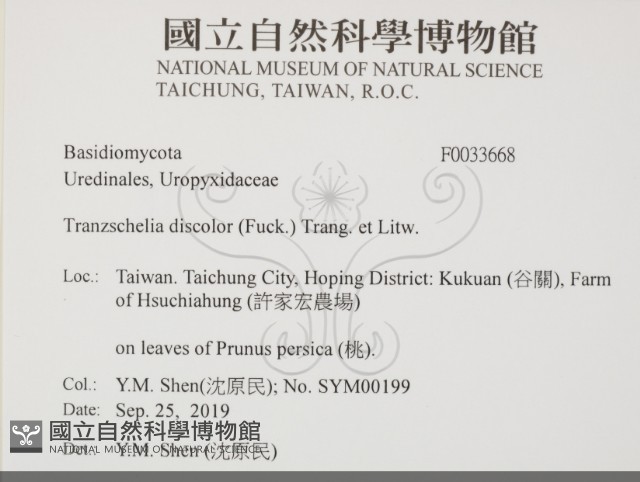 登錄號:F0033668藏品圖，第2張