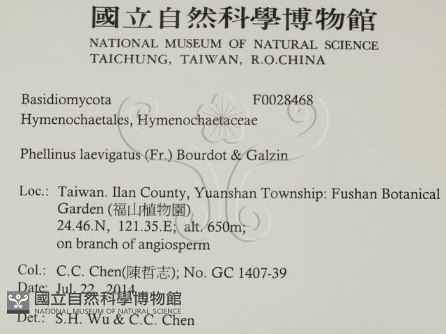 登錄號:F0028468藏品圖，第2張