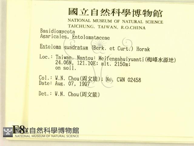 登錄號:F0008468藏品圖，第2張