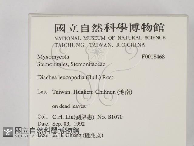 登錄號:F0018468藏品圖，第2張
