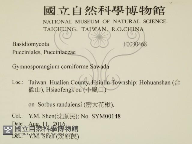 登錄號:F0030468藏品圖，第2張