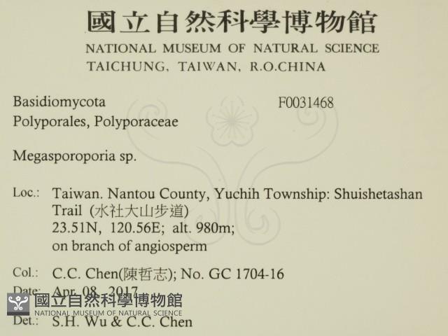 登錄號:F0031468藏品圖，第2張