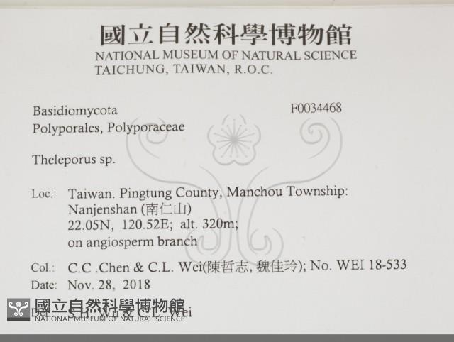 登錄號:F0034468藏品圖，第2張