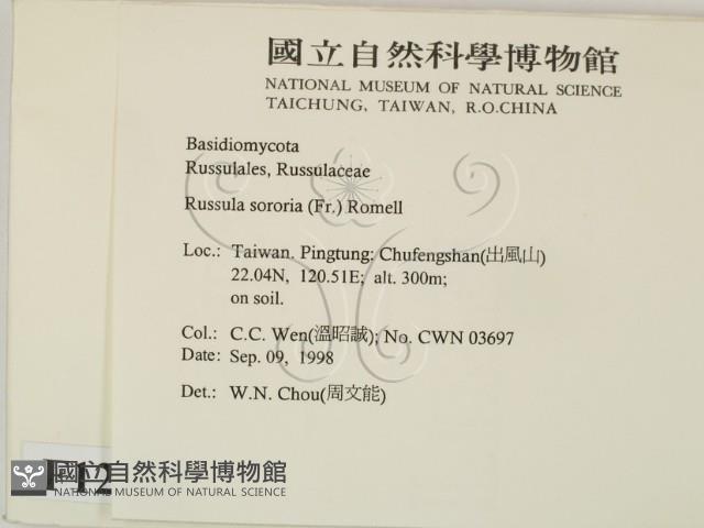 登錄號:F0012468藏品圖，第2張