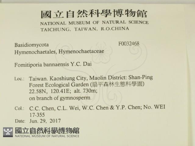 登錄號:F0032468藏品圖，第2張