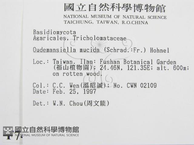 登錄號:F0007468藏品圖，第2張
