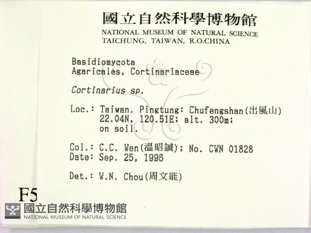 登錄號:F0005468藏品圖，第2張