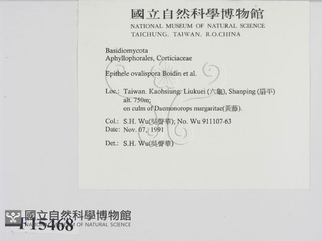 登錄號:F0015468藏品圖，第2張