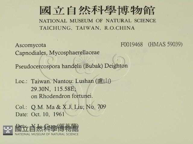 登錄號:F0019468藏品圖，第2張