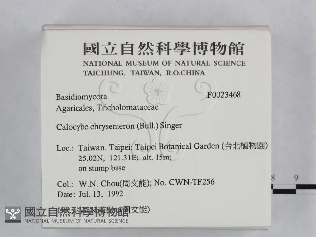 登錄號:F0023468藏品圖，第2張