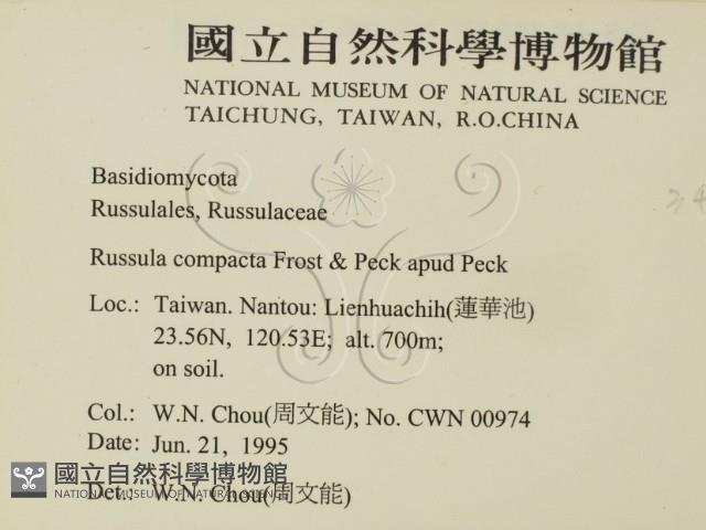 登錄號:F0003468藏品圖，第2張