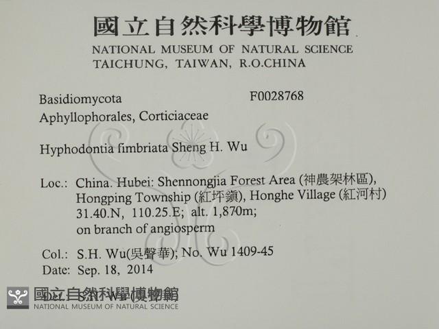 登錄號:F0028768藏品圖，第2張