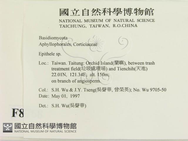 登錄號:F0008768藏品圖，第2張