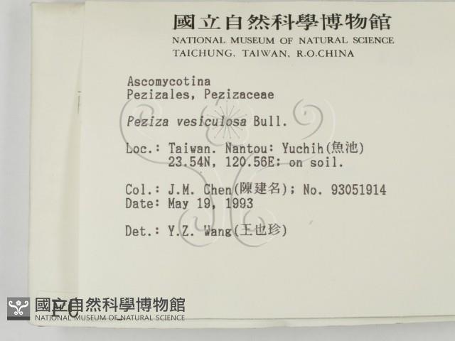 登錄號:F0000768藏品圖，第2張