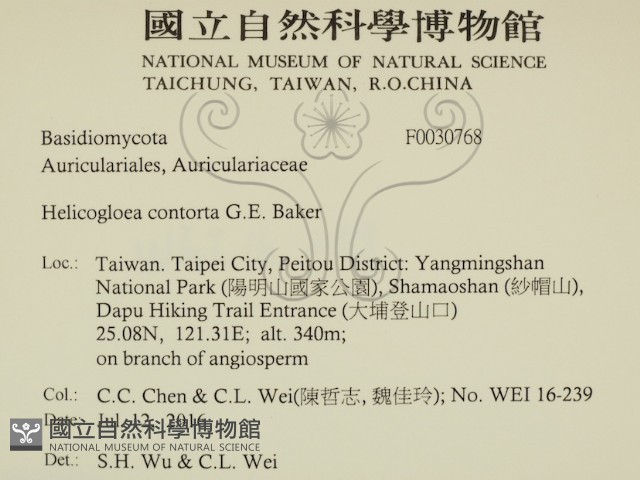 登錄號:F0030768藏品圖，第2張