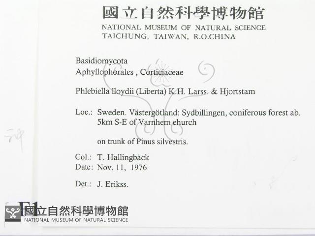 登錄號:F0016768藏品圖，第2張