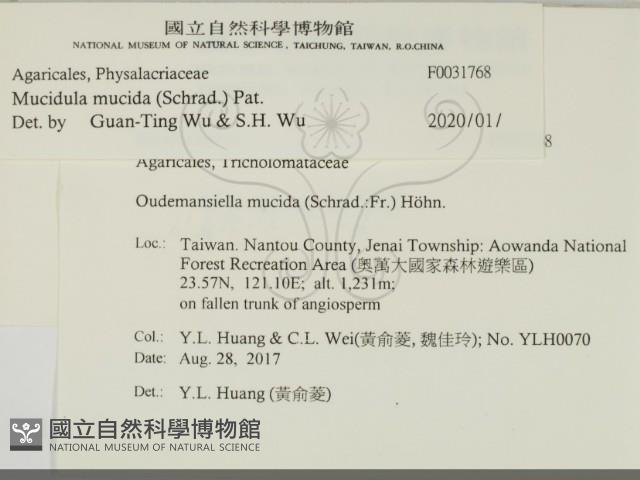 登錄號:F0031768藏品圖，第2張
