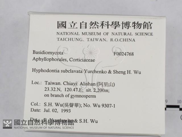登錄號:F0024768藏品圖，第2張