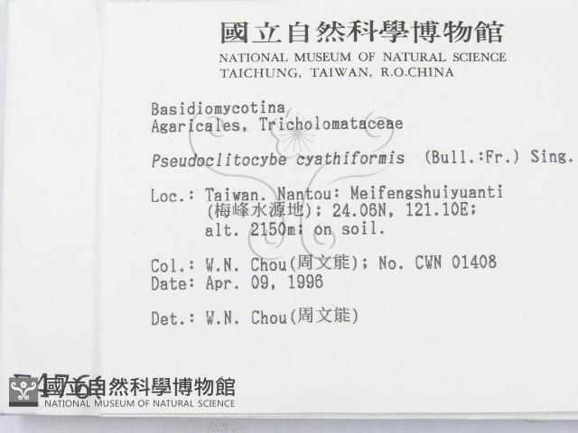 登錄號:F0004768藏品圖，第2張