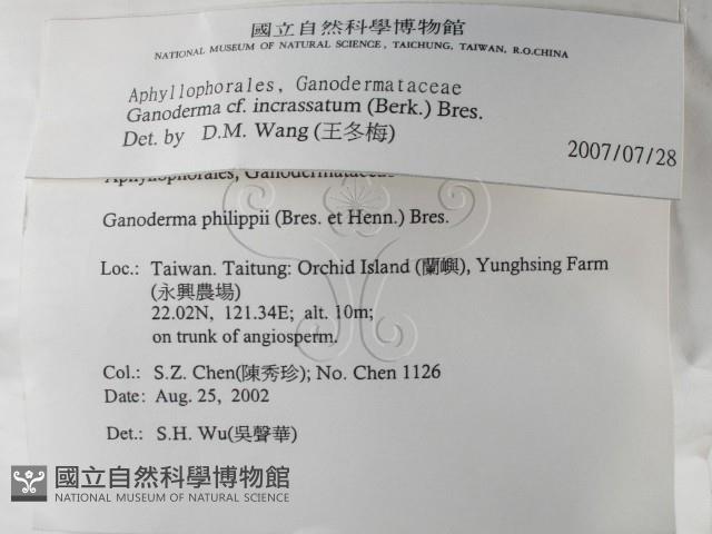 登錄號:F0014768藏品圖，第2張
