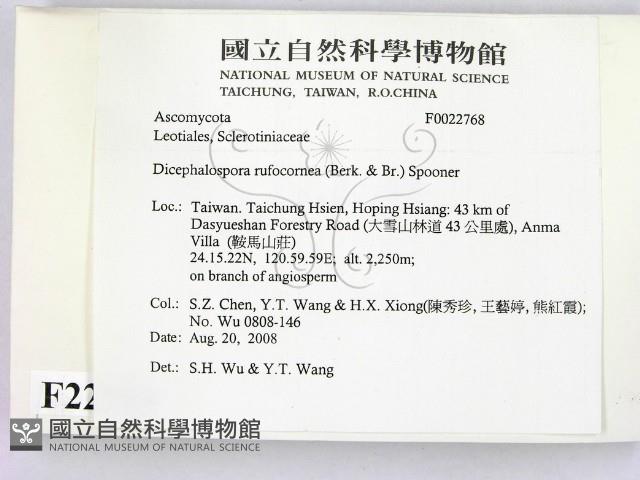 登錄號:F0022768藏品圖，第2張