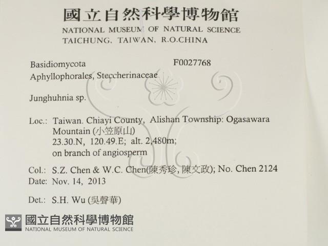 容氏菌屬藏品圖，第2張