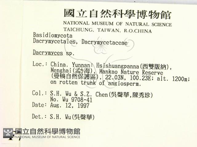 花耳屬藏品圖，第2張