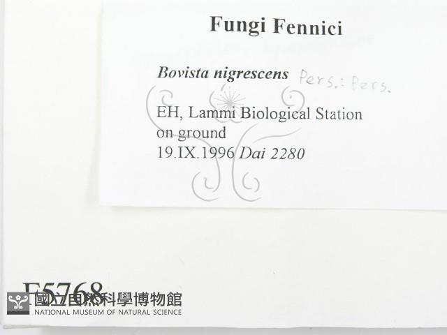 登錄號:F0005768藏品圖，第2張