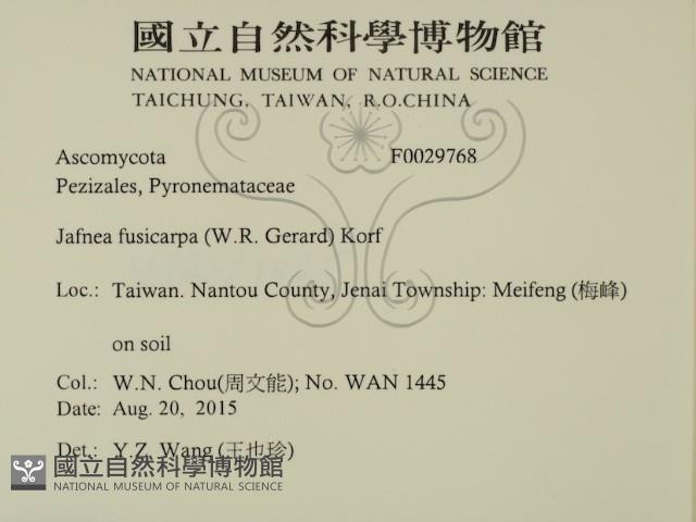 登錄號:F0029768藏品圖，第2張
