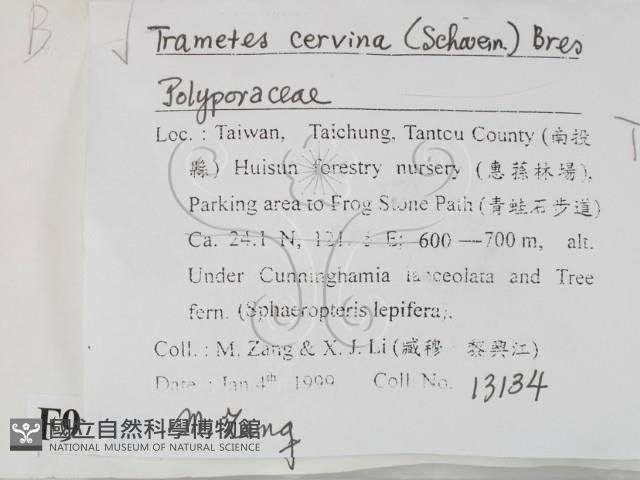 登錄號:F0009768藏品圖，第2張