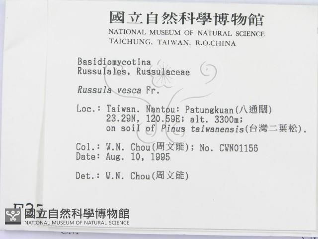 登錄號:F0003768藏品圖，第2張