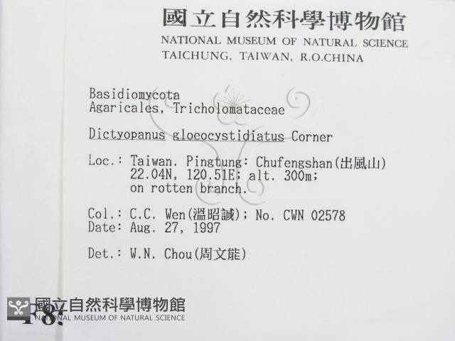 登錄號:F0008568藏品圖，第2張