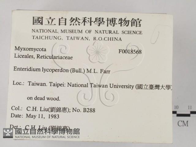 登錄號:F0018568藏品圖，第2張