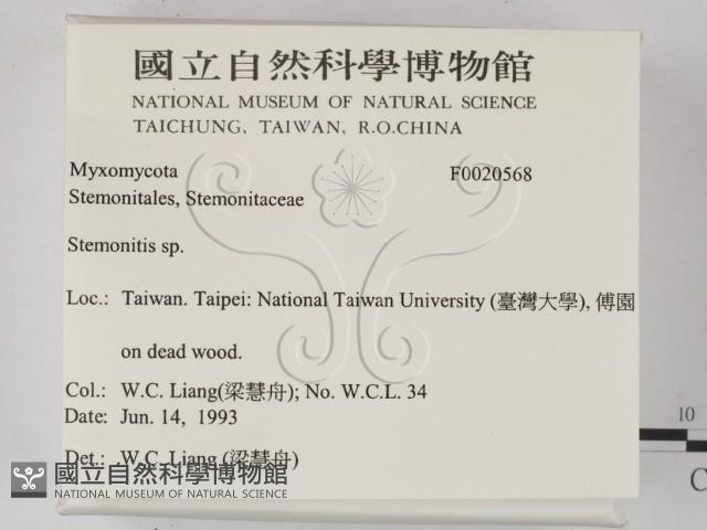 登錄號:F0020568藏品圖，第2張